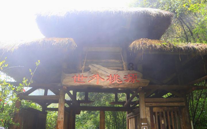 广州“开四停四”拟改为“高峰限行”